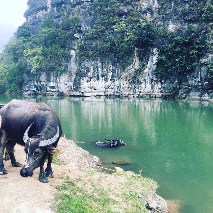 Mai'S Homestay Trang An Ніньбінь Екстер'єр фото